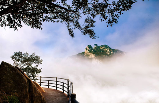 勇登沂山最巔峰,一展王者大雄風(fēng) 勇登沂山最巔峰,一展王者大雄風(fēng)