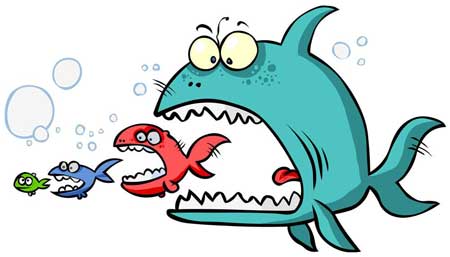 面對“大魚吃小魚”局面 防盜門企業如何應對? 面對“大魚吃小魚”局面 防盜門企業如何應對?