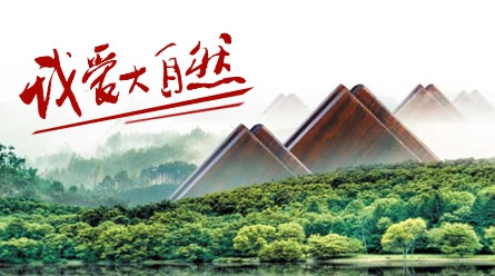 最好的地暖地板品牌,最新的地暖地板十大品牌排名