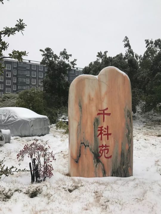 千科潘遠宏:智能產品、智慧營銷一手抓,智能終端是品牌最后浪潮 千科潘遠宏:智能產品、智慧營銷一手抓,智能終端是品牌最后浪潮