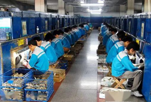 品牌招商|輝煌廚衛(wèi)7大優(yōu)勢(shì)，帶你快速掘金!