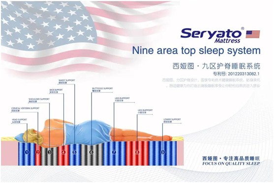 圖發展 贏未來：破局2020，西婭圖抓住新機遇!
