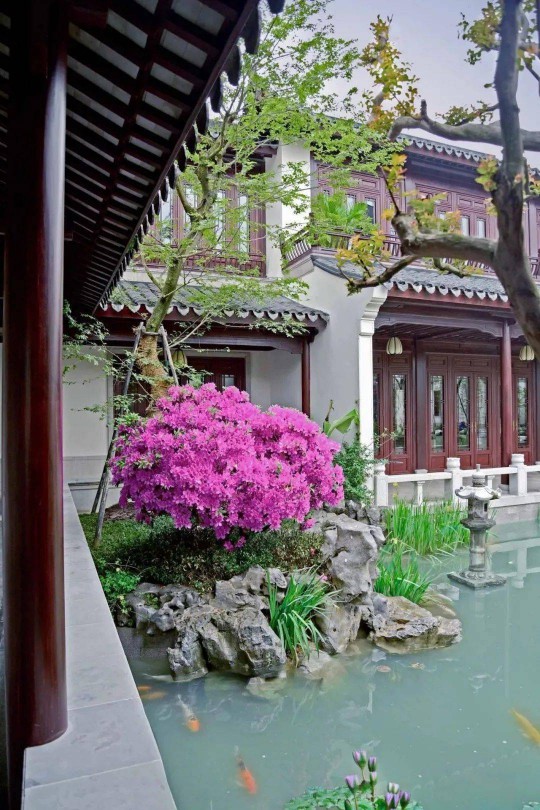 山水為丹青，門窗為鏡頭！三宅門窗為中式建筑添彩… 