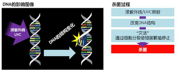 消費者開始關注到車載空氣凈化器，原來如此重要